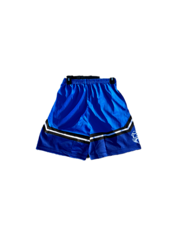 Classic Mesh Shorts - Image 3