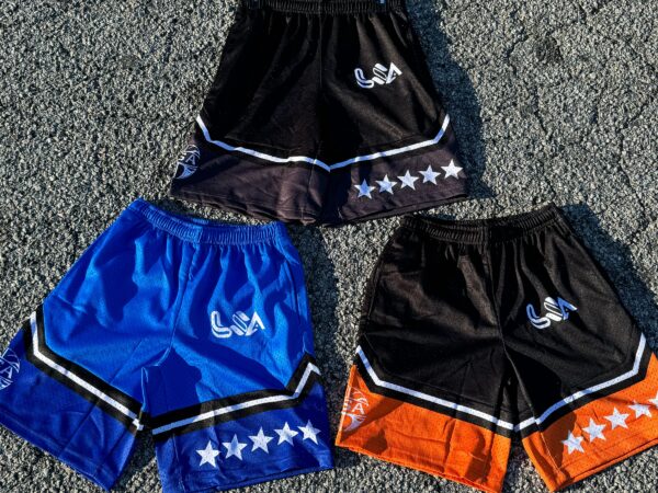 Classic Mesh Shorts - Image 2